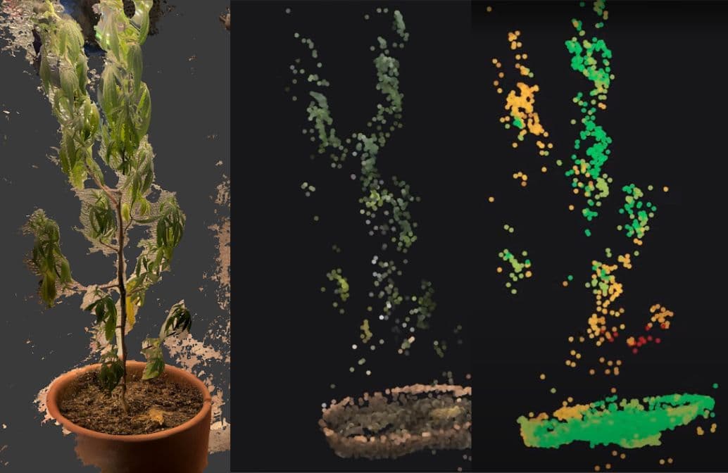 Proseed Phenotyping: Visão Computacional para Cultivo